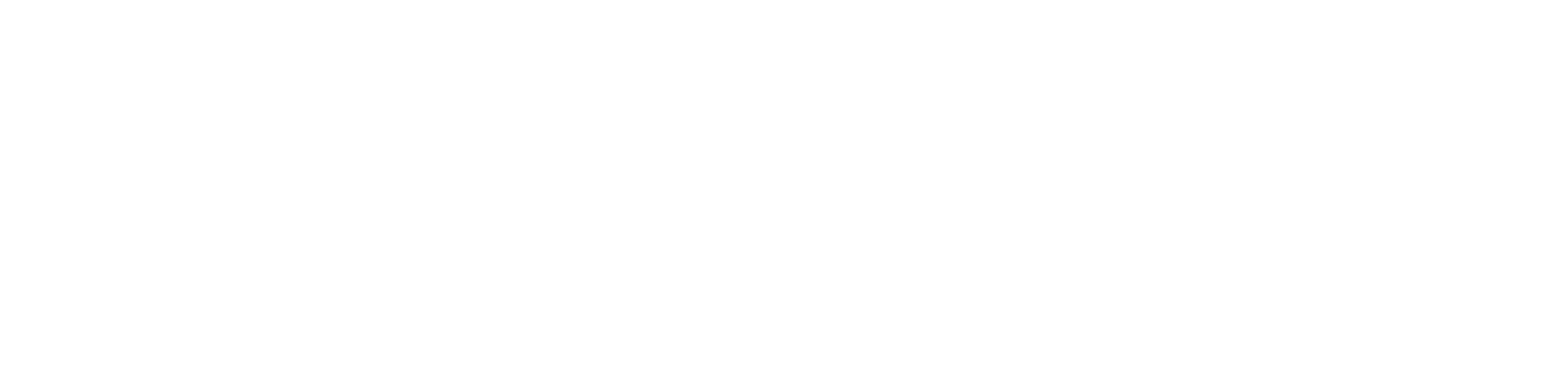 Garage Avenger